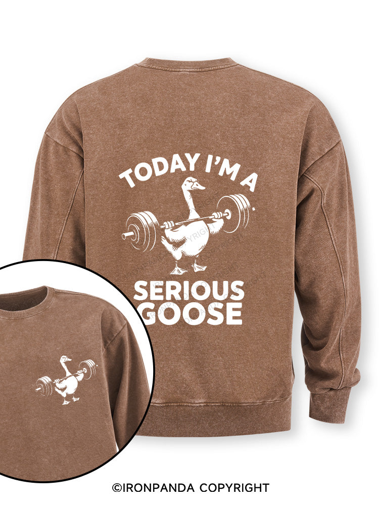 Today i'm a serious goose new Double-Sided Printed Washed Sweatshirt