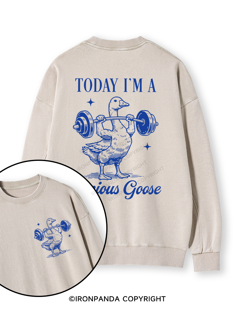 TODAY I'M A Serious Goose Double-Sided Printed Washed Sweatshirt