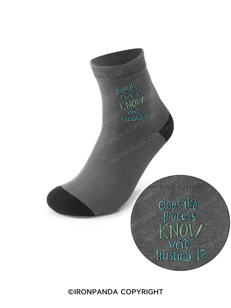 DOES THE PROCESS KNOW WE'RE TRUSTING IT Crew Socks