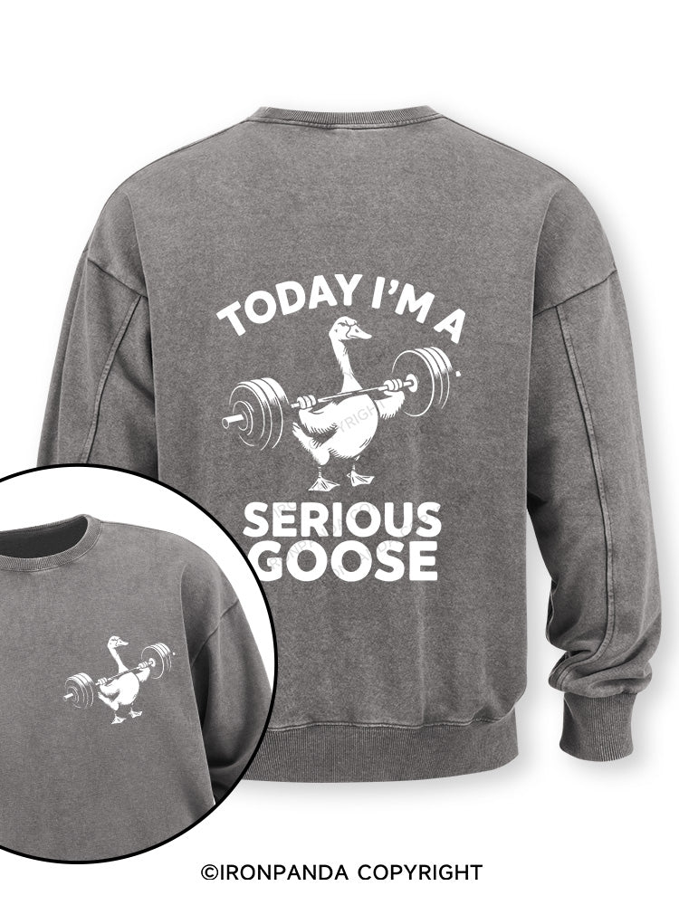 Today i'm a serious goose new Double-Sided Printed Washed Sweatshirt