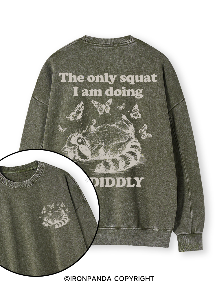 The Only Squat I’m Doing Is Diddly Double-Sided Printed Washed Sweatshirt