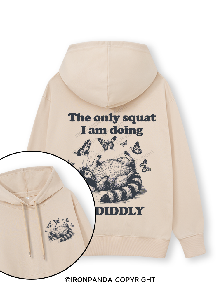 The Only Squat I’m Doing Is Diddly Double-Sided Printed Classic Gym Hoodie