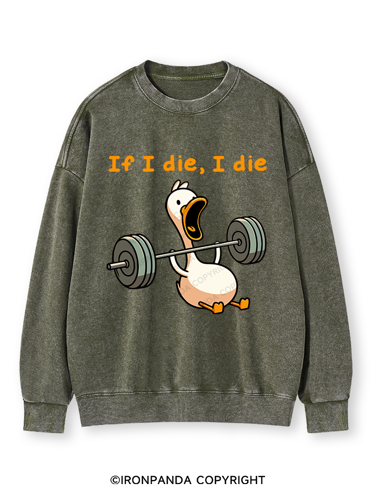 IF I DIE I DIE Washed Sweatshirt