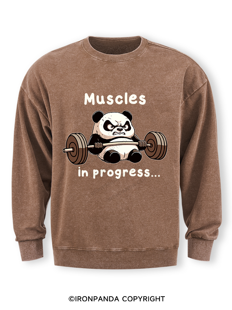 muscles in progress Washed Sweatshirt