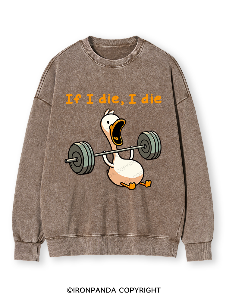 IF I DIE I DIE Washed Sweatshirt
