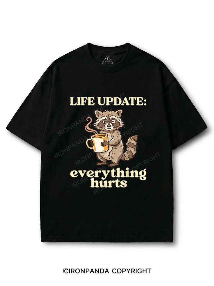 Life Update Everything Hurts Funny Raccoon COTTON PUMP COVER