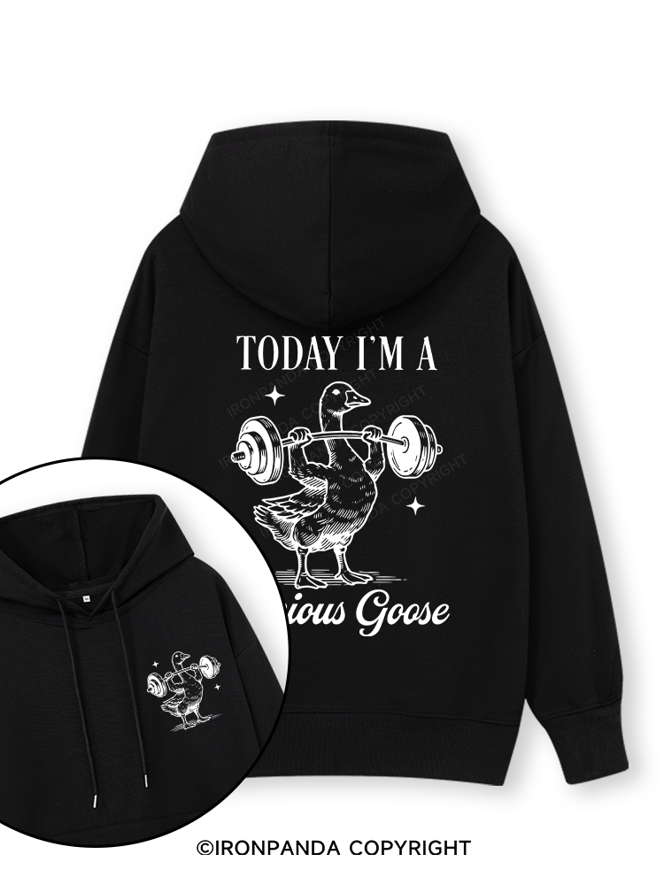 TODAY I'M A Serious Goose Double-Sided Printed Classic Gym Hoodie