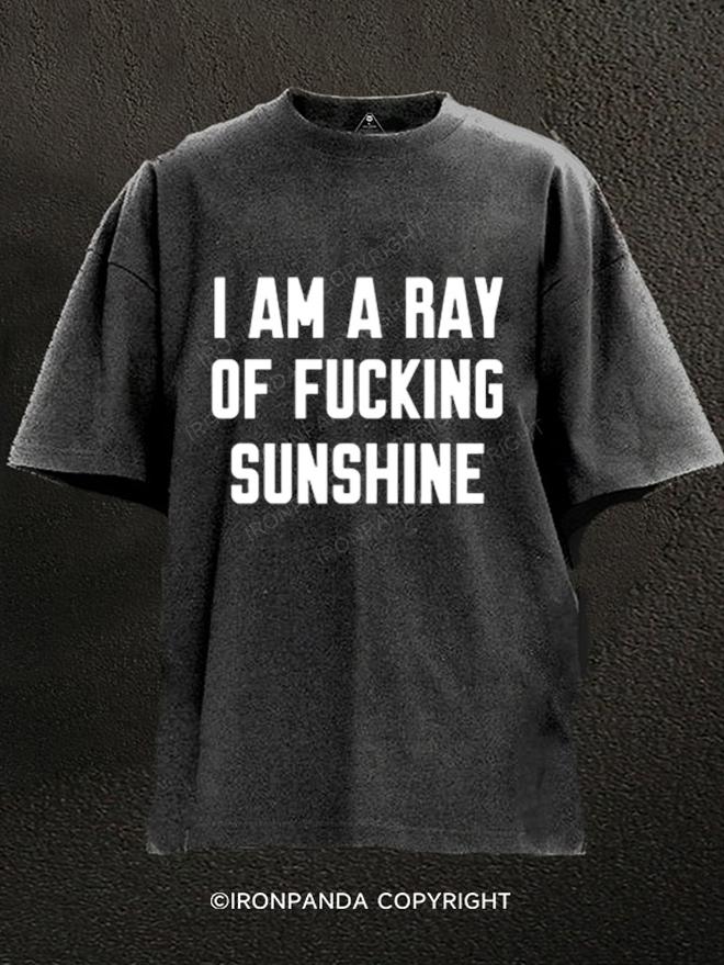 I Am A Ray Of Fxxking Sunshine Washed Gym Shirt