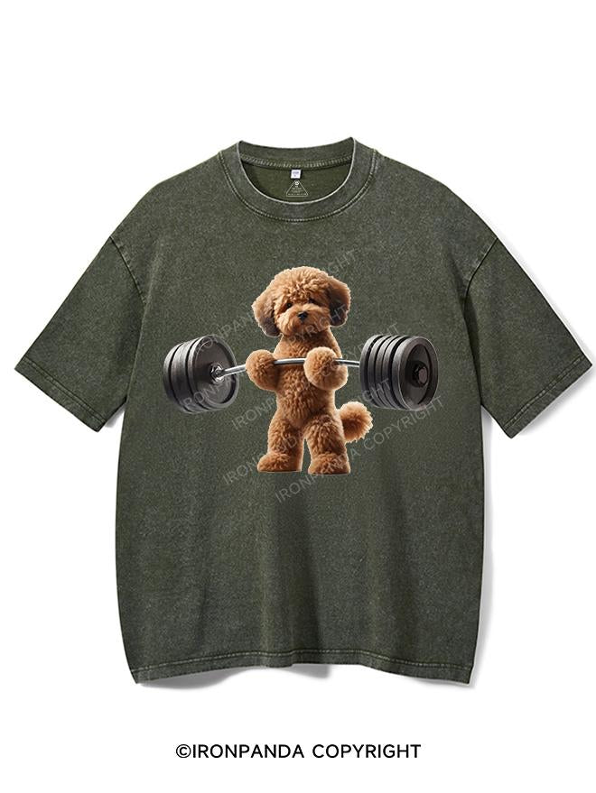 LITTLE PAWS, BIG LIFTS VINTAGE GYM SHIRT