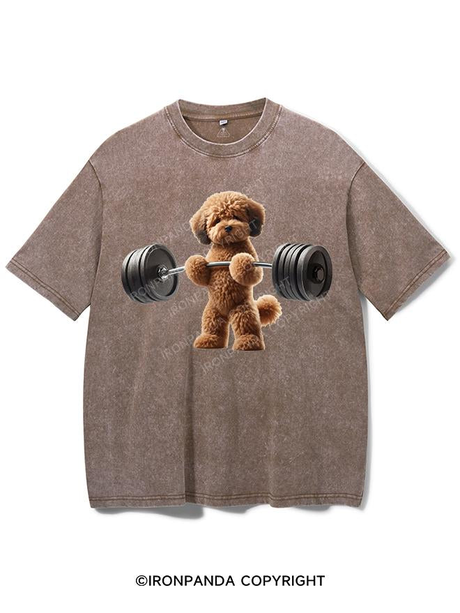 LITTLE PAWS, BIG LIFTS VINTAGE GYM SHIRT