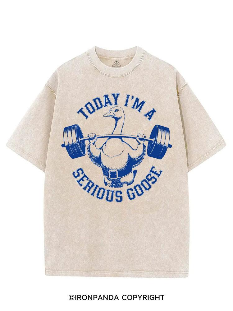 TODAY I'M A SERIOUS GOOSE VINTAGE GYM SHIRT
