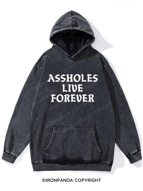 Assholes Live Forever Washed Gym Hoodie