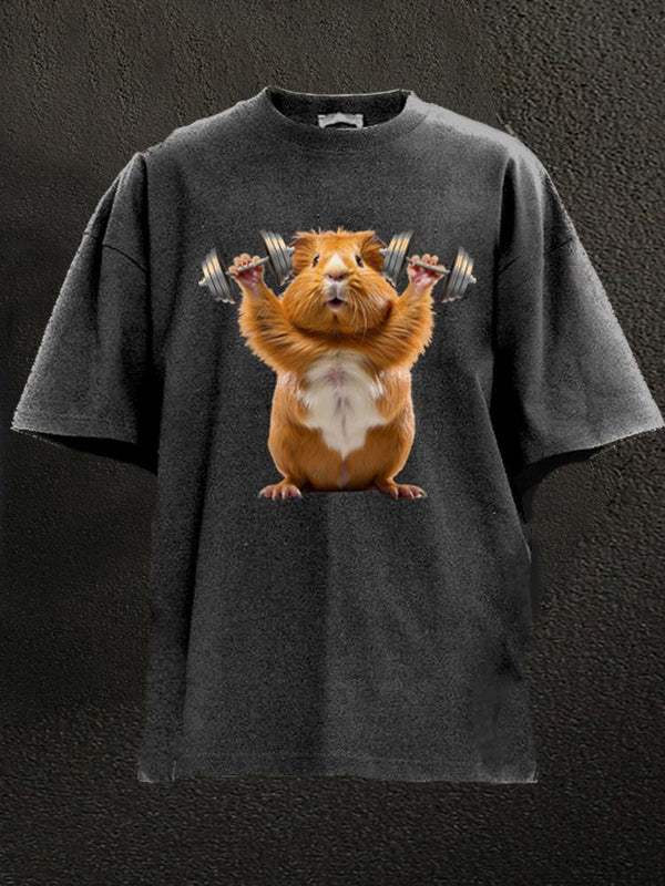 Dumbbell lifting Hamster Washed Gym Shirt