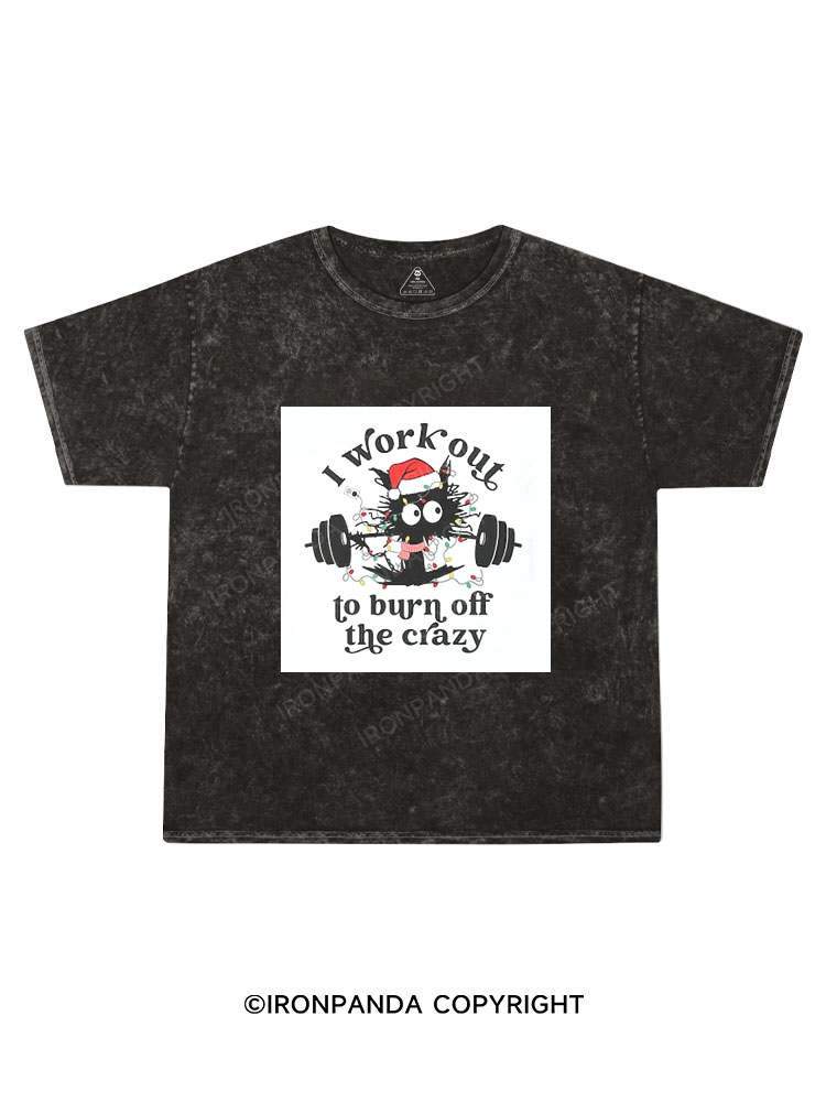 i workout to burn off the crazy Kids Washed T-Shirt