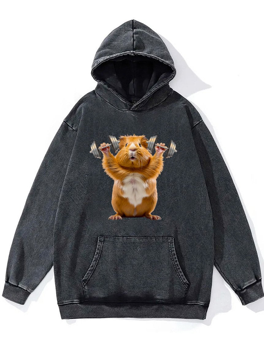 dumbbell lifting hamster Washed Gym Hoodie