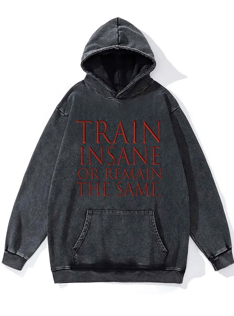 train insane or remain the same Washed Gym Hoodie