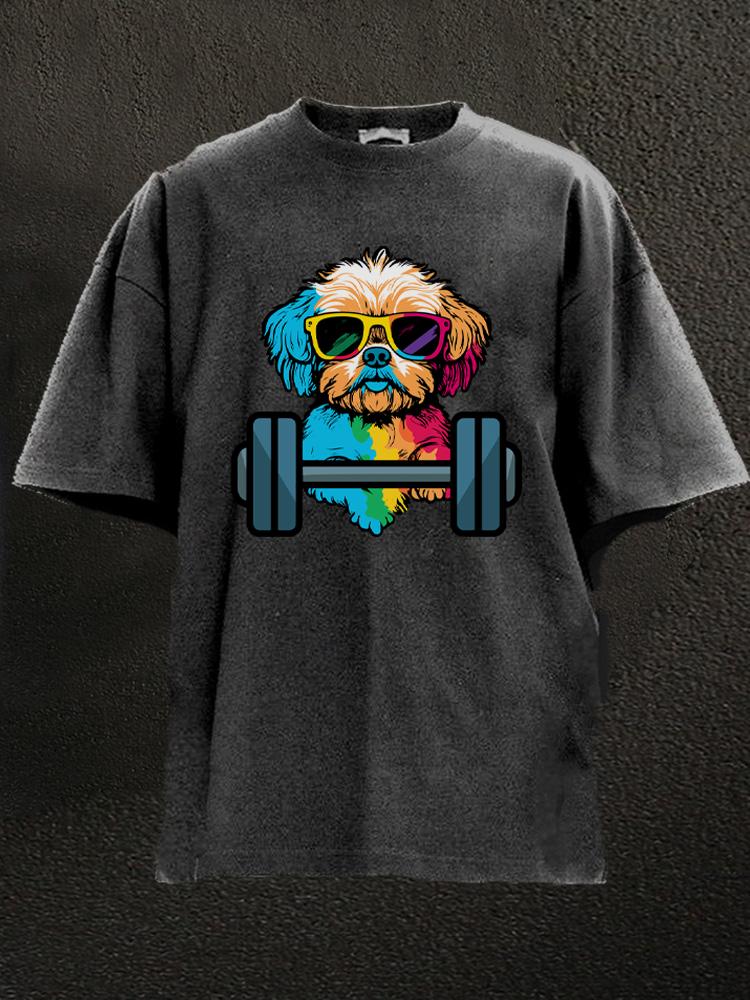 Rainbow Barbell Dog Washed Gym Shirt