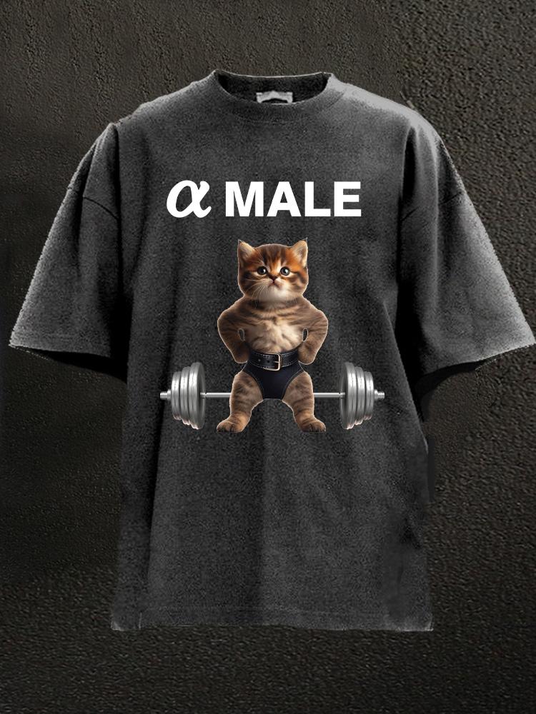 Alpha Male Cat Washed Gym Shirt