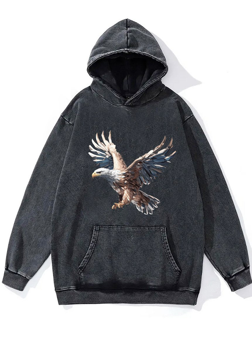 EAGLE Washed Gym Hoodie