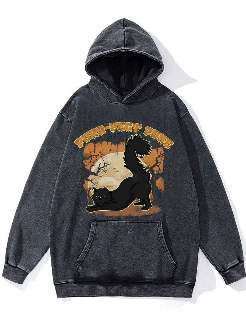 Purrfect Pose Washed Gym Hoodie