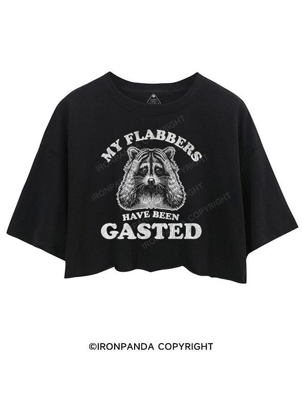 My Flabbers Have Been Gasted CROP TOPS