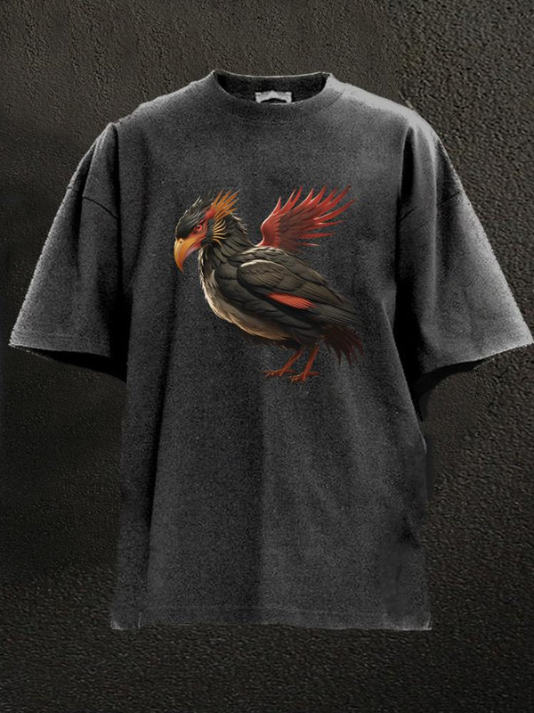 Bifang Chinese mythical bird Washed Gym Shirt