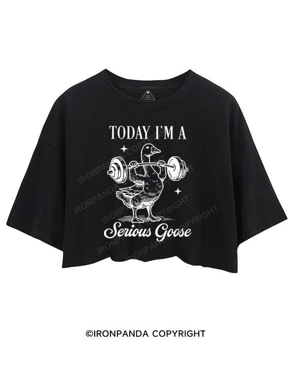 TODAY I'M A Serious Goose CROP TOPS