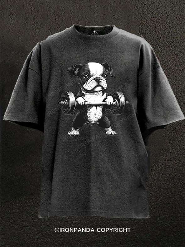 Weightlifting Boston Terrier Puppy Washed Gym Shirt