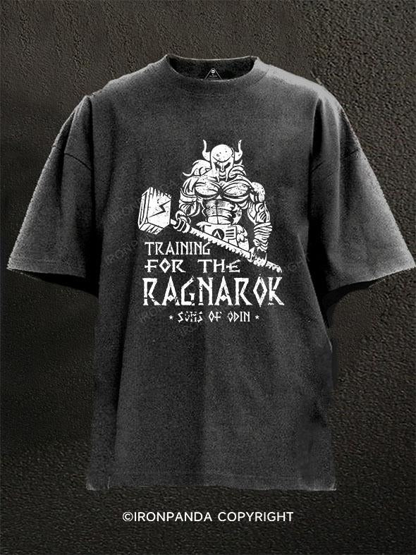 Training for Ragnarok Washed Gym Shirt