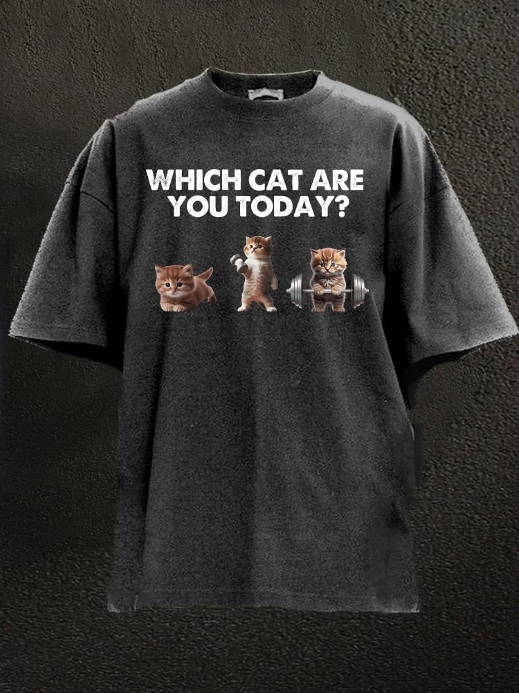 WHICH CAT ARE YOU TODAY Washed Gym Shirt