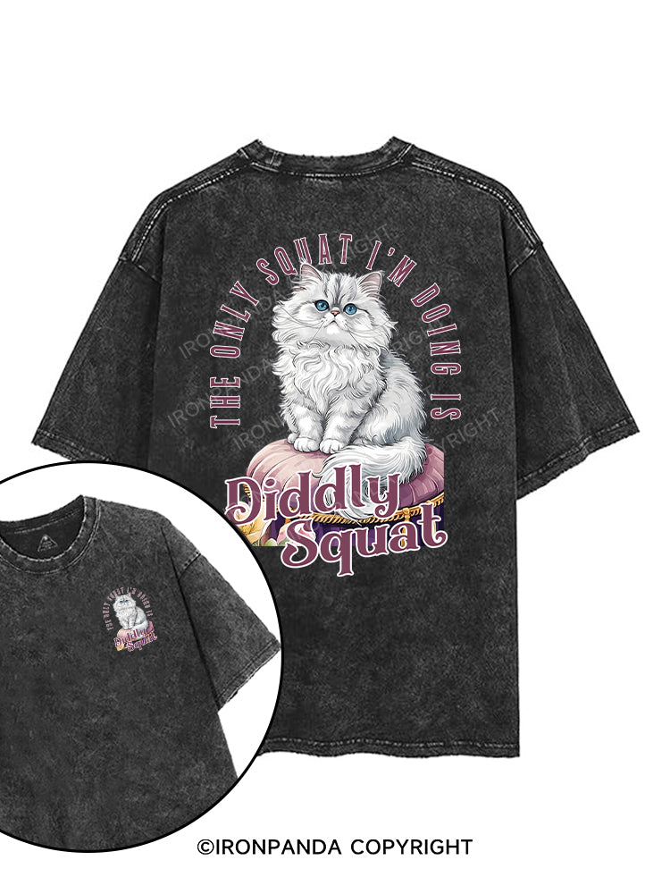 “The only squat I’m doing is diddly squat.” printed Gym Shirt