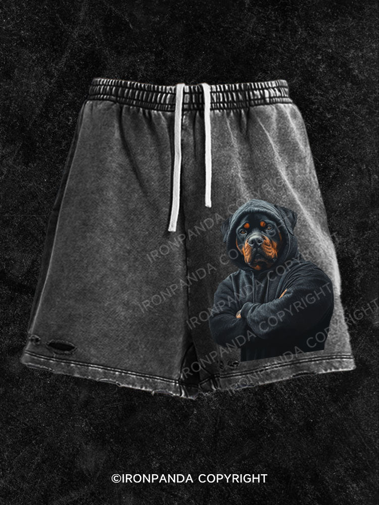 Muscular Rottweiler Washed Gym Shorts