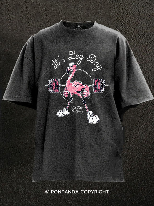 Flamingo Gym Leg Day Washed Gym Shirt