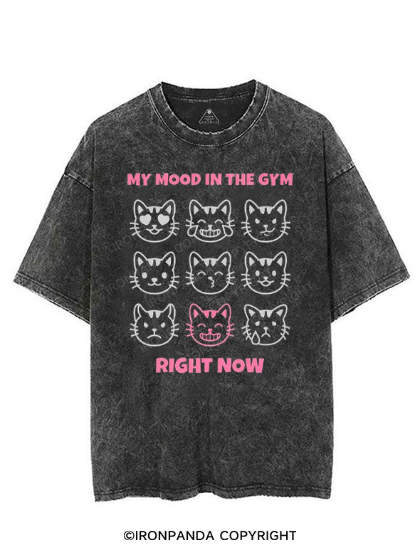 MY MOOD IN THE GYM RIGHT NOW VINTAGE GYM SHIRT