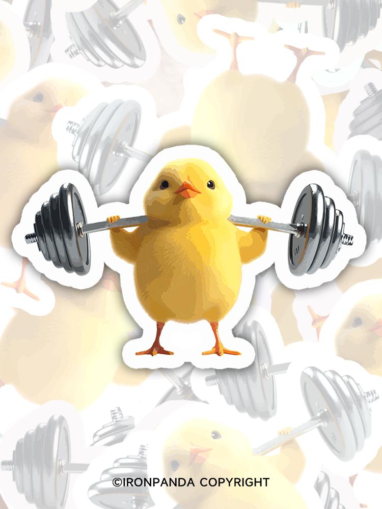 IronPanda weightlifting chick Sticker