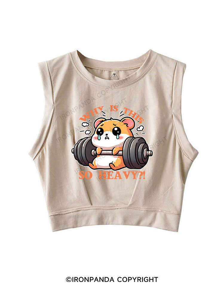 WHY IS THIS SO HEAVY？！ SLEEVELESS CROP TOPS