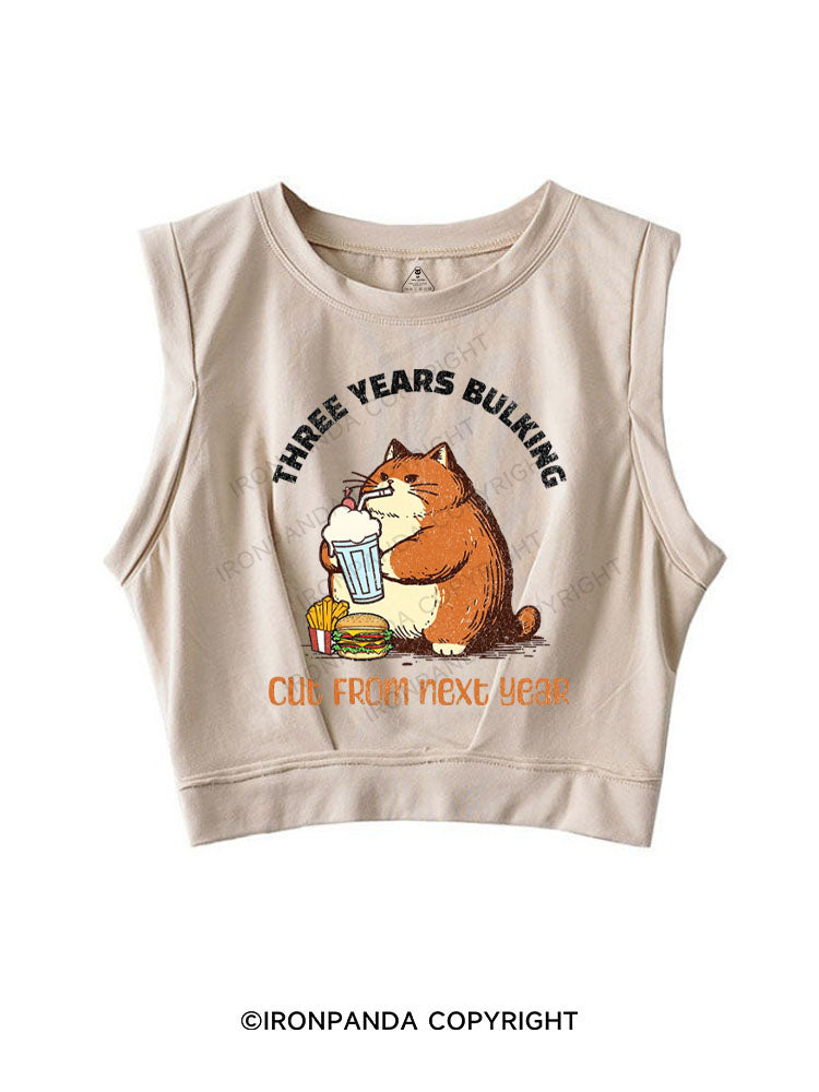 THREE YEARS BULKING CUT FROM NEXT YEAR SLEEVELESS CROP TOPS