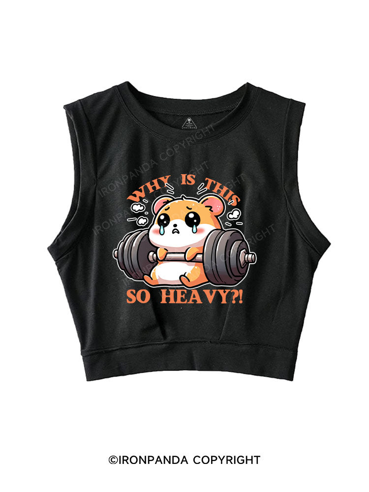 WHY IS THIS SO HEAVY？！ SLEEVELESS CROP TOPS