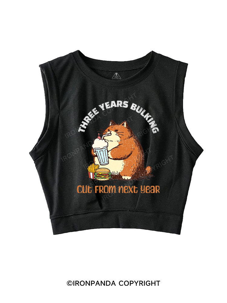 THREE YEARS BULKING CUT FROM NEXT YEAR SLEEVELESS CROP TOPS