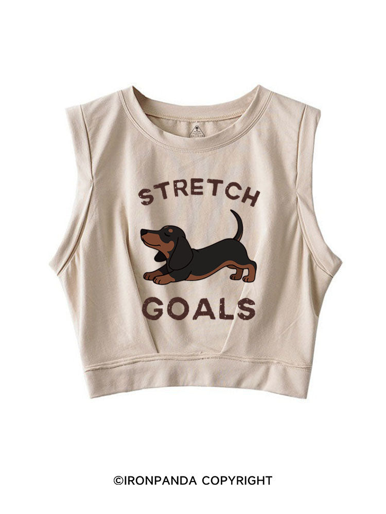STRETCH GOALS SLEEVELESS CROP TOPS