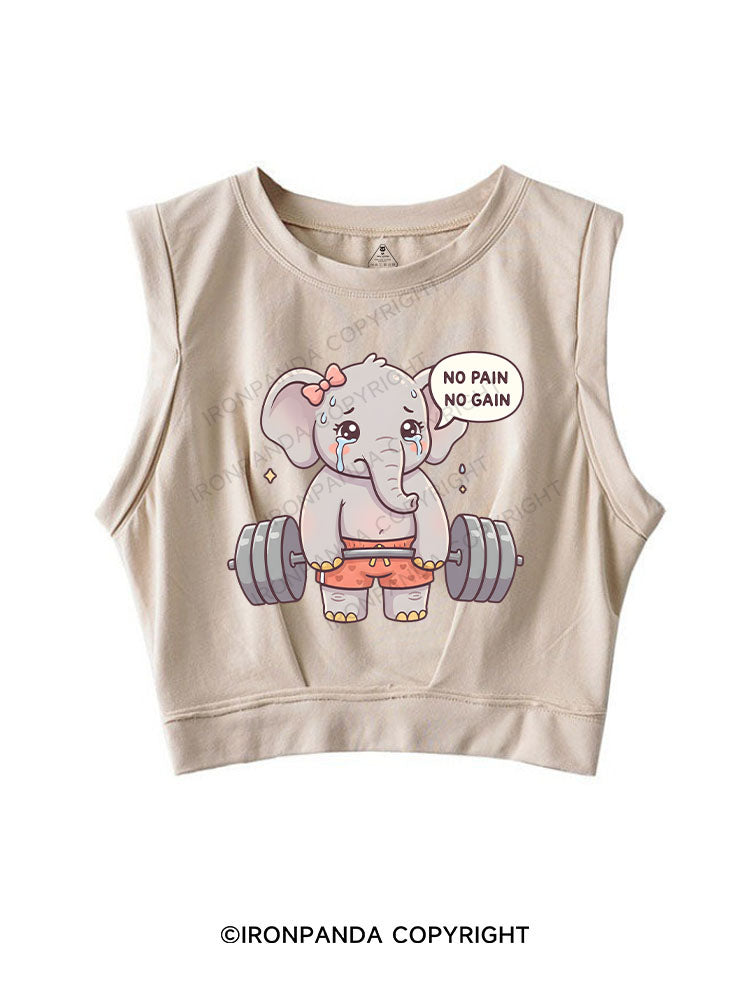 No Pain No Gain SLEEVELESS CROP TOPS