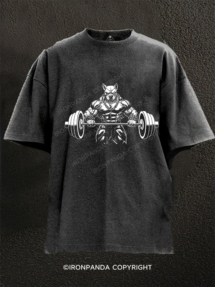 dog deadlift Washed Gym Shirt
