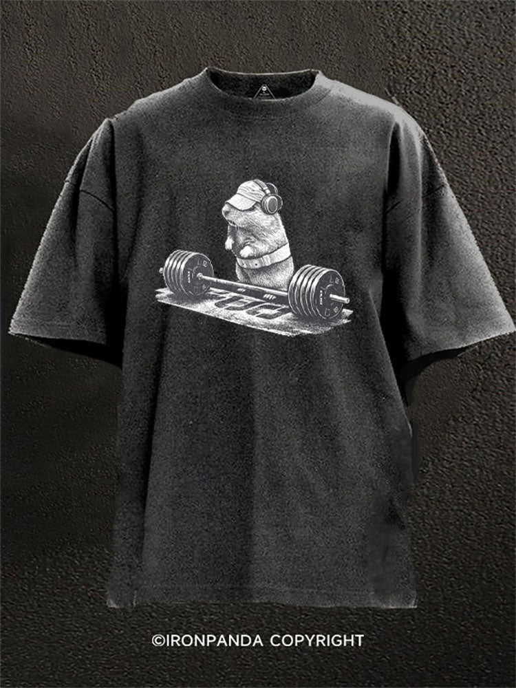 Funny Deadlift Hamster Meme Washed Gym Shirt