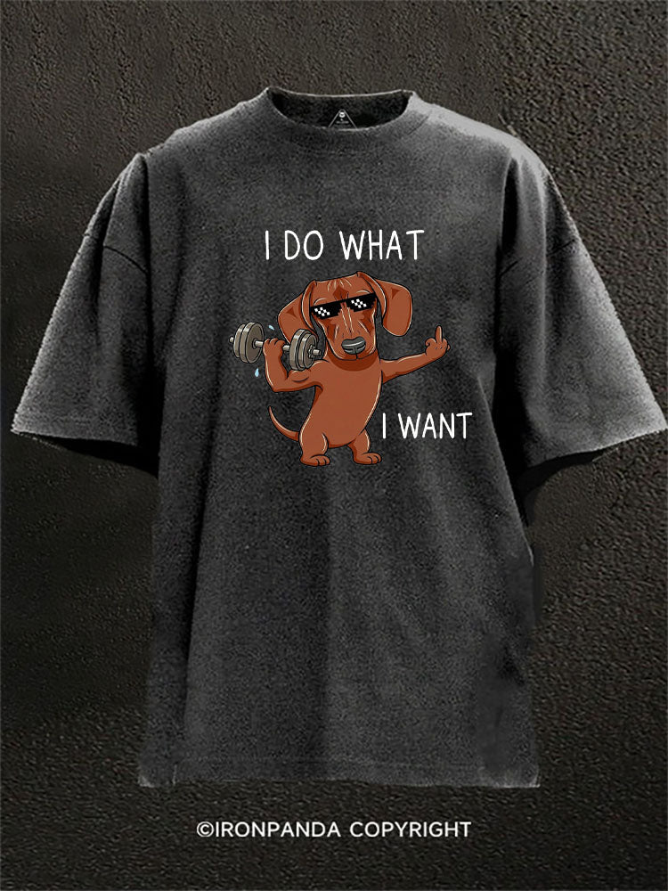 I Do What I Want Dog Washed Gym Shirt
