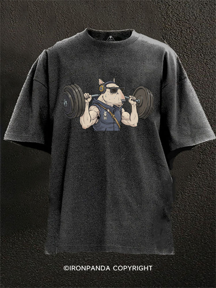 Cool Lifting Dog Washed Gym Shirt