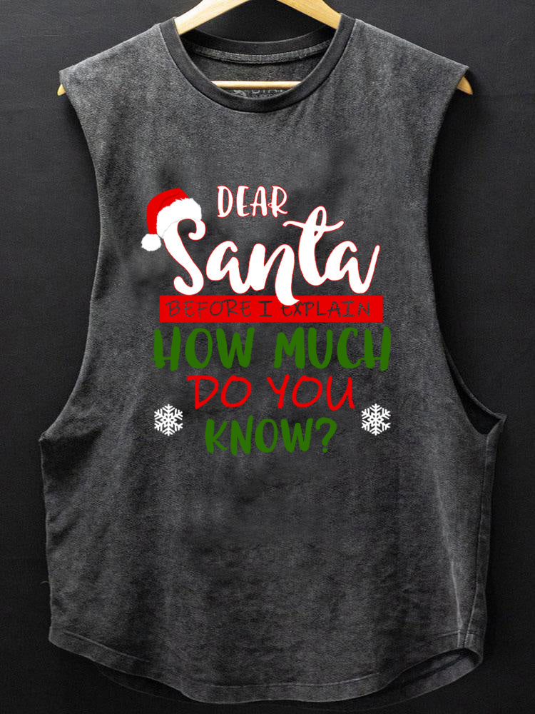 Dear Santa Before I Explain  Scoop Bottom Cotton Tank