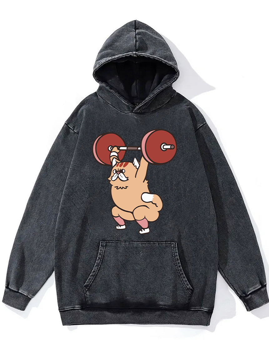 The snatch weightlifting Cat WASHED GYM HOODIE