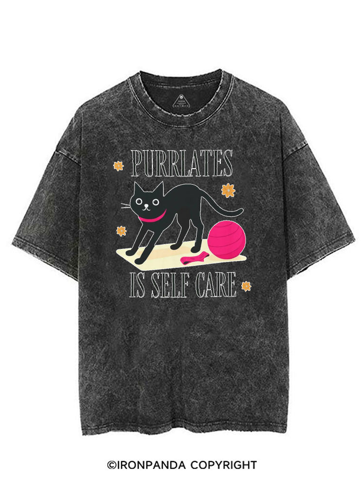 PURRLATES IS SELF CARE VINTAGE GYM SHIRT