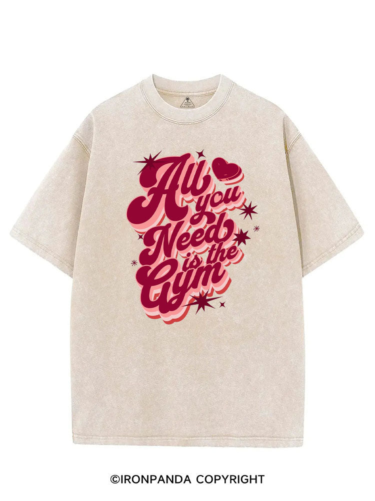 ALL YOU NEED IS THE GYM VINTAGE GYM SHIRT