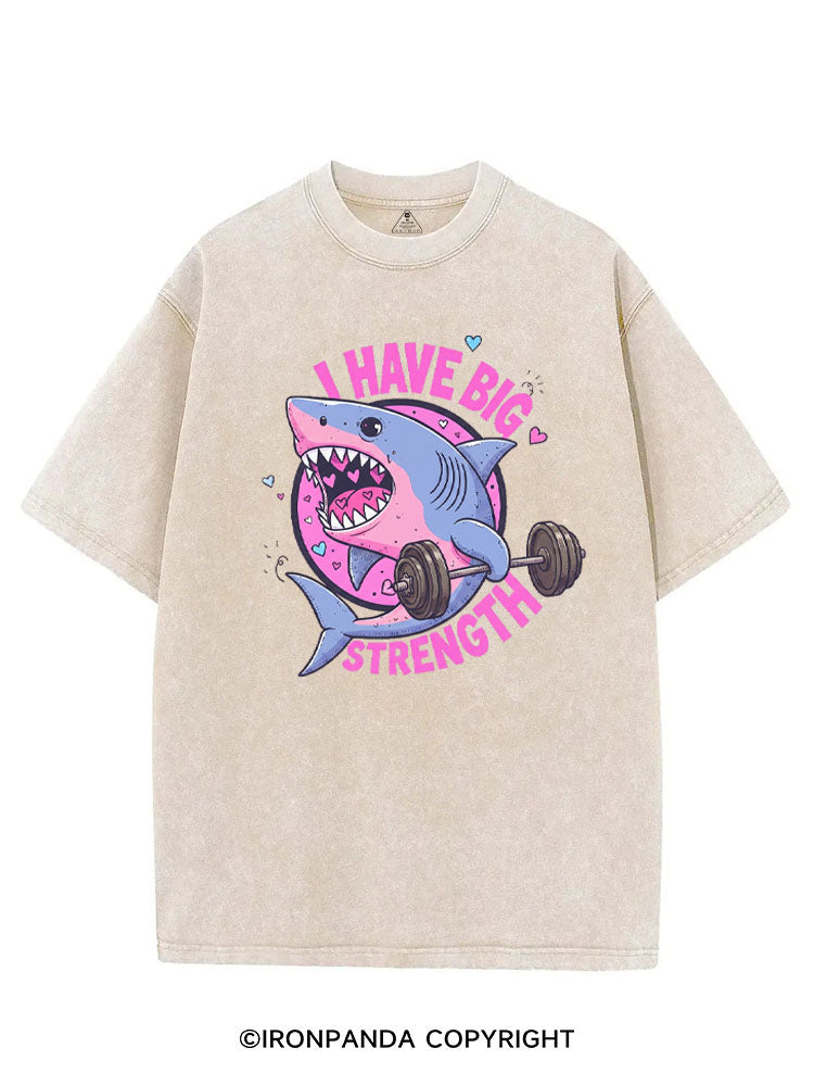 I HAVE BIG STRENGTH VINTAGE GYM SHIRT